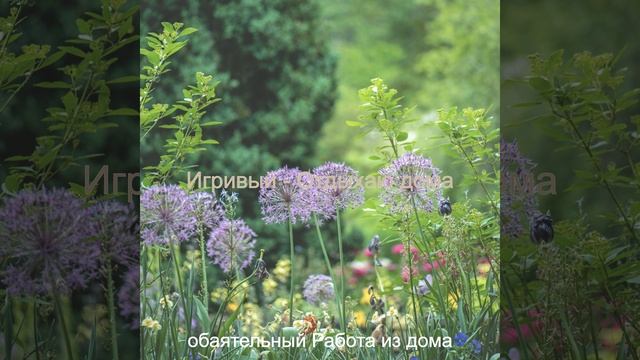 Модный Музыка