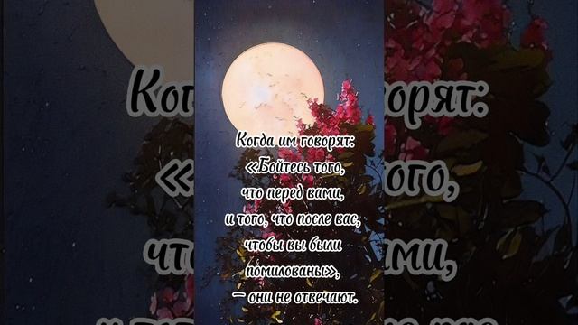 Сура Ясин . Чтец Мансур Ас Салими . смотреть онлайн