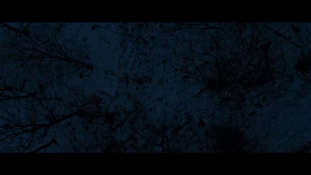 Последний клиент - трейлеры..mp4 смотреть онлайн