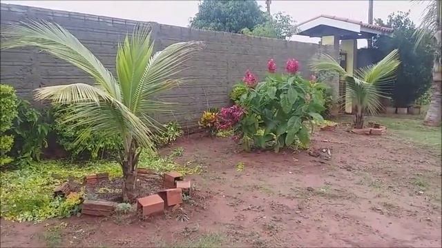 👉 PLANTANDO ESTACAS ENRAIZADAS - JUSTICIA VERMELHA 🌱🌱🌱 смотреть онлайн