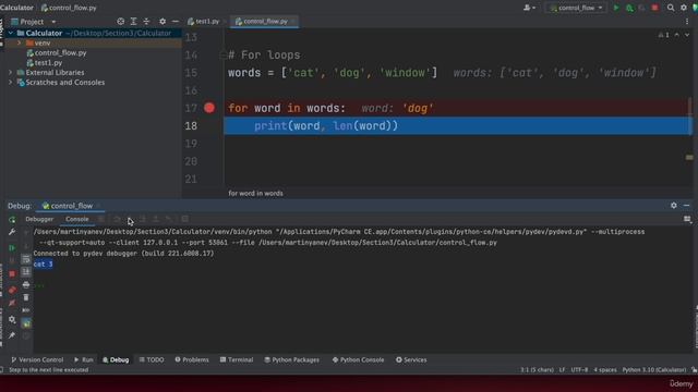 10 - Backend Learn Python for Applications Development - 38 - Flow Control Statements смотреть онлайн