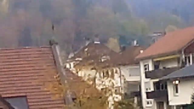 S.G.M TRAVEL VLOG#GERMANY#SCHRAMBERG MOUNTAIN VIEW#AUTUMN IN GERMANY#GERMANY TOURISM#EUROPE смотреть онлайн