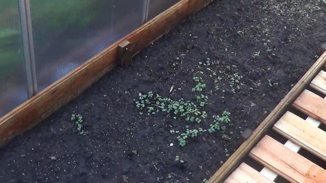 Как подготовить теплицу к новому сезону смотреть онлайн