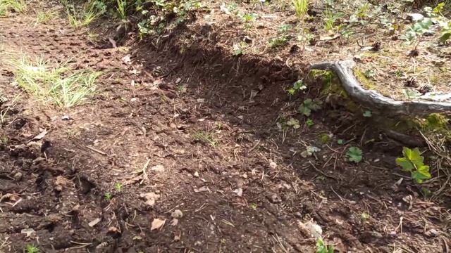 едем на Оке в болото смотреть онлайн