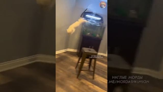 досада смотреть онлайн