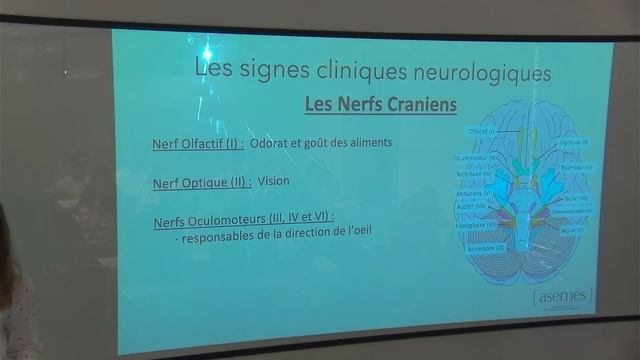 Découverte du Système Nerveux смотреть онлайн