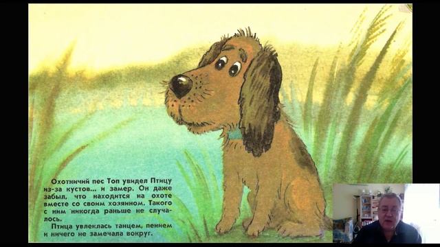 Сказка 195 Заяц Коська и Облако Последняя охота смотреть онлайн