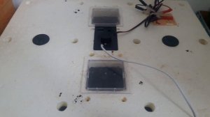 Инкубатор Золушка. Отзыв после 2х лет эксплуатации.