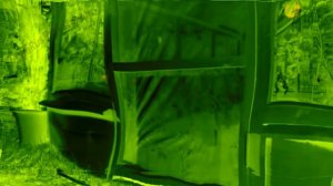 Аdvertising  Реклама Китикет Kitekat   Борис поймал пчелу In PowerYellowInvertFat