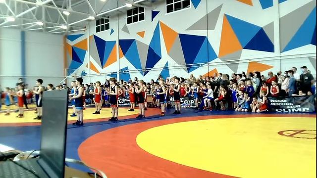 Фестиваль спортивной борьбы м самбо посвящённого Дню Победы в ВОВ. Ковер 1 смотреть онлайн
