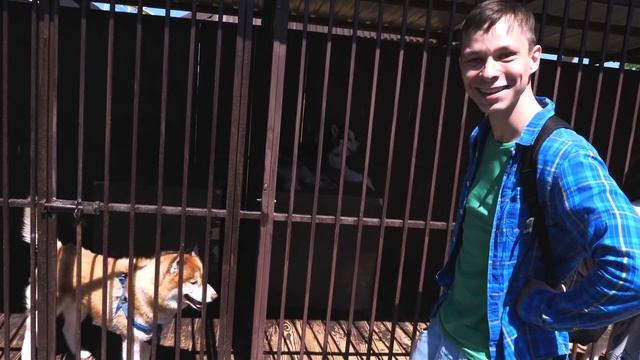 Хаски и Хаскилэнд в парке Сказка - Отдых в Москве - Куда сходить смотреть онлайн