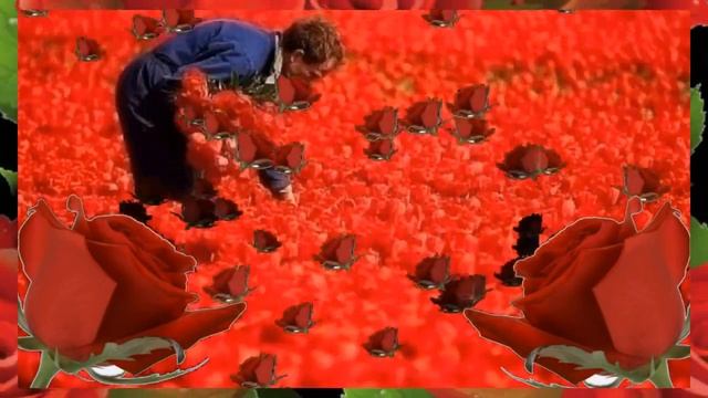 МИЛЛИОН АЛЫХ РОЗ на японском языке смотреть онлайн