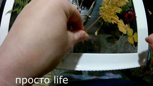 Сухие цветы,herbarium,домашнее видео, картина своими руками из сухих цветов ,лайфхак!dry flowers смотреть онлайн
