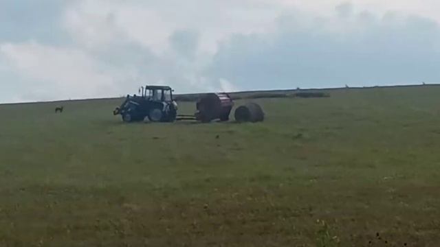 Т-40АМ ГРЕБЕТ СЕНО, БЕЛАРУС ПРЕСУЕТ СЕНО