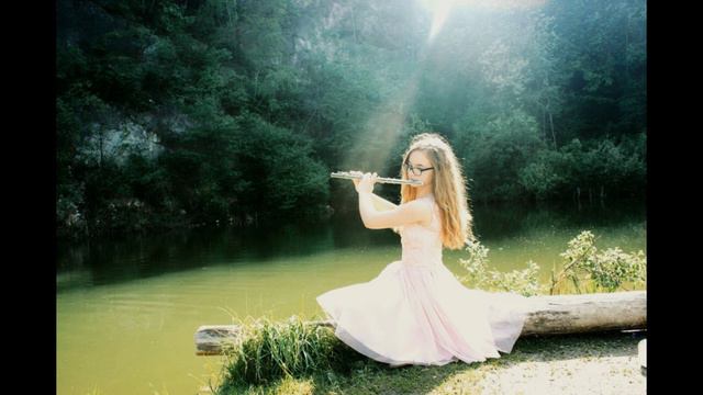 Shallow - Lady Gaga & Bradley Cooper ( Flute Cover ) смотреть онлайн