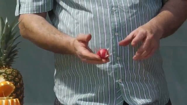 Чистим овощи быстро и легко. Овощечистка GIGANT смотреть онлайн