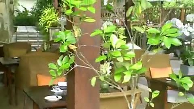 Бали. Ubud Hanging Gardens. смотреть онлайн