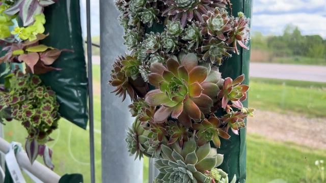 有意思的挂花 - flower wall bag смотреть онлайн