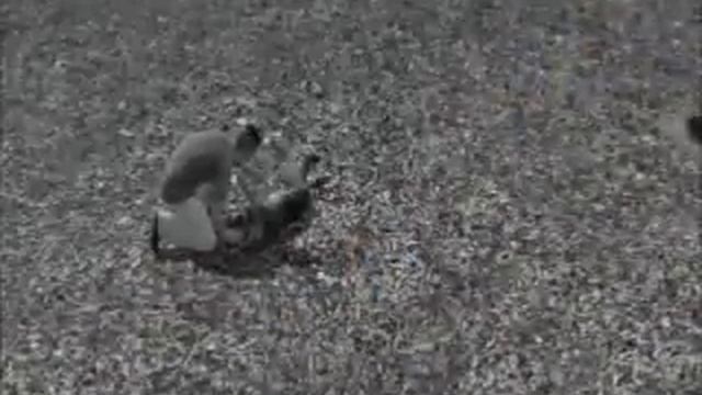 I'll Wait Forever - Sims 3 Story смотреть онлайн