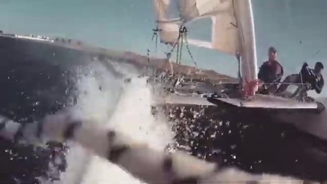 Парусный катамаран в Севастополе смотреть онлайн