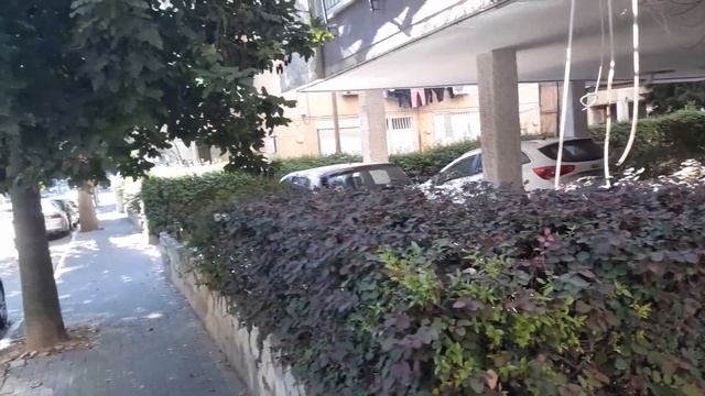 прогулка по городу