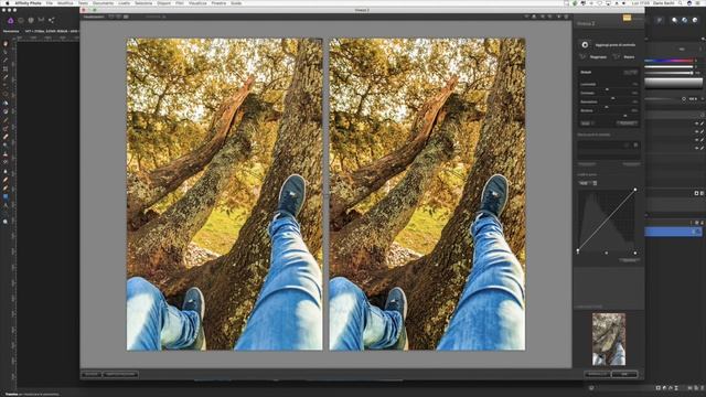 Viveza 2 | Affinity Photo | Tutorial Italiano смотреть онлайн