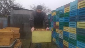 100кг мёда за сезон. От А до Я. Работа в 12 рамочном улье .