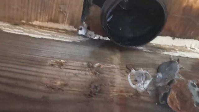 Бак для душа Росток 150л с лейкой смотреть онлайн