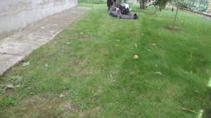 Briggs&Stratton 750EX