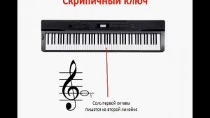 Нотная грамота для начинающих Урок 3