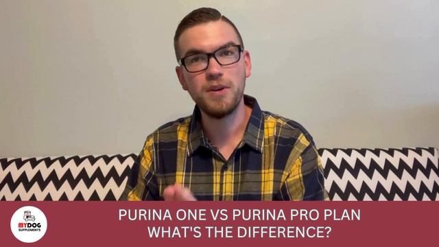 Purina ONE Vs Purina Pro Plan: What's The Difference? | Expert Comparison