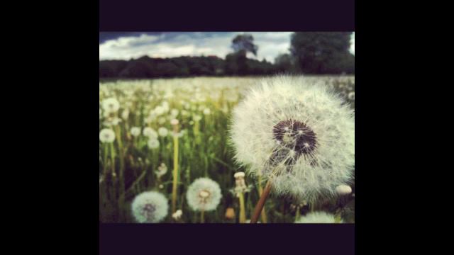 DJ-BaKaBoN-2013MIX-vol.3Tane смотреть онлайн