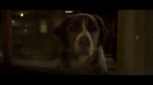 Клип на песню_Imagine Dragons _Believer_не оригинал_[х.ф Зов Предков]