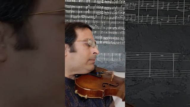 Brahms Concerto Fragment #twosetviolin #violin #classicalmusic #brahms #composers смотреть онлайн