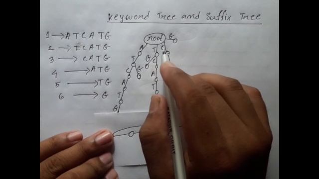 12.0 : Suffix Tree | Data Structures and Algorithms Bangla Tutorial. смотреть онлайн