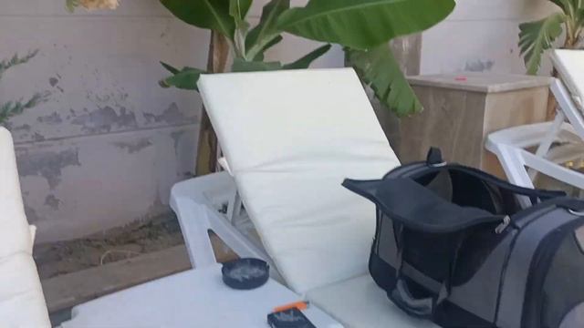 В Турцию пришла Африканская жара. Аланья. Махмутлар. смотреть онлайн