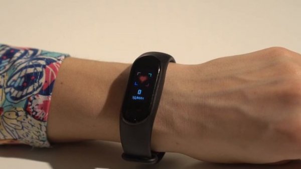 Обзор SMARTERRA Fitmaster Color