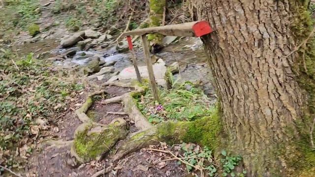 Лазаревское Сочи Мамедово Ущелье Берендеево Царство. Прогулка под дождём к водопадам 10.03.23