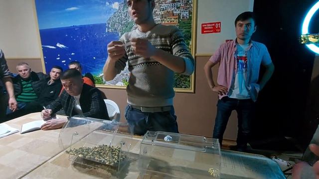 "Реал шоу" Розыгрыш 3чи уйнмиз! ♡Ошоба Аппон♡ Oshoba Appon, Тюмень. смотреть онлайн