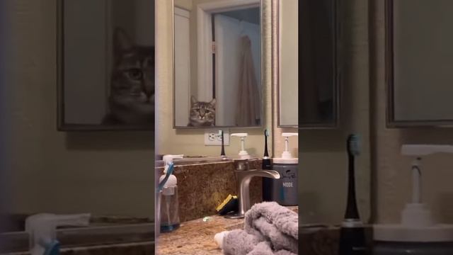 Я слежу за тобой смотреть онлайн