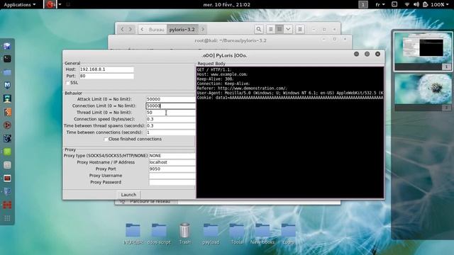 How to test crash any Router using Pyloris script смотреть онлайн