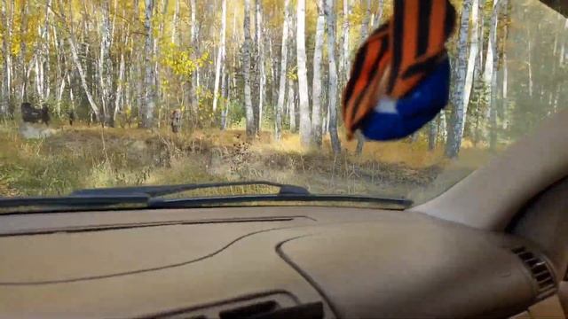 #ml163team ,прогулка на Мерседесе Ml320