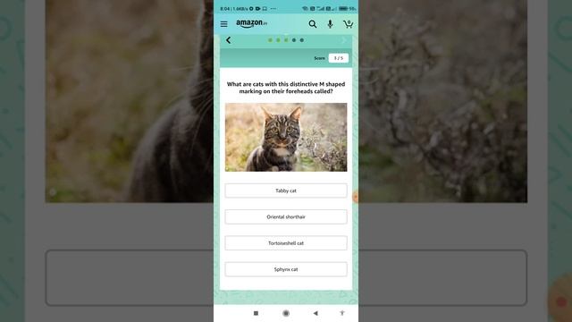? Amazon Quiz 29th January 2021 Answers Win – ₹15,000 смотреть онлайн
