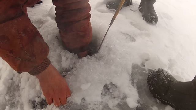 Ловим леща на Волге смотреть онлайн
