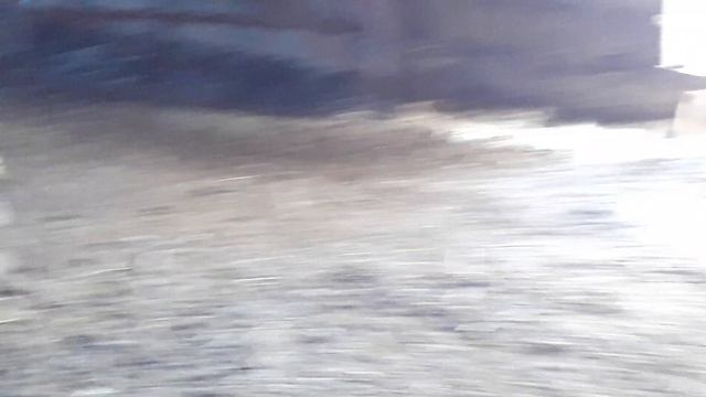 Телята.сравнение телят белоголовый породы 18.01.19 смотреть онлайн