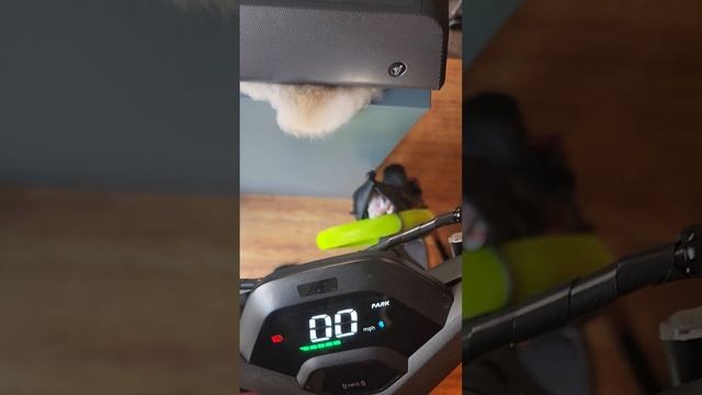 Segway P100S Engine Speaker Connection Issue.