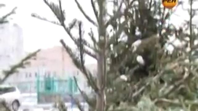 Выбираем ёлку смотреть онлайн