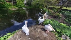 Виртуальная экспедиция