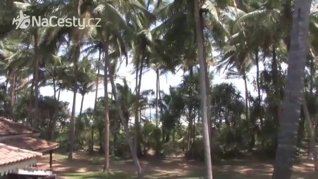 Srí Lanka - Club Bentota 3* смотреть онлайн