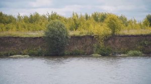 Болонская удочка. Ловля на течении